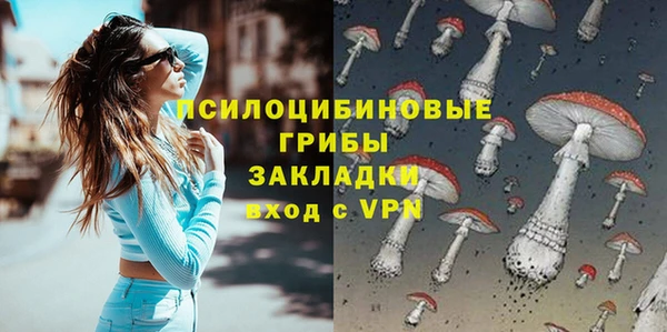 сатива Саяногорск