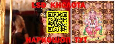 прущие грибы Азнакаево