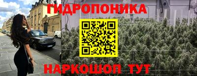 прущие грибы Азнакаево