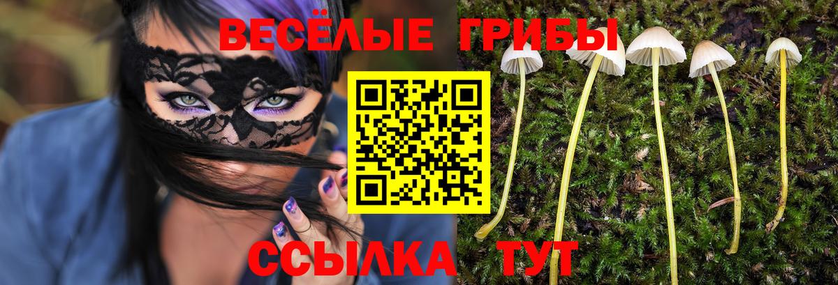 Буйнакск  Псилоцибиновые грибы мицелий  Вход с VPN 