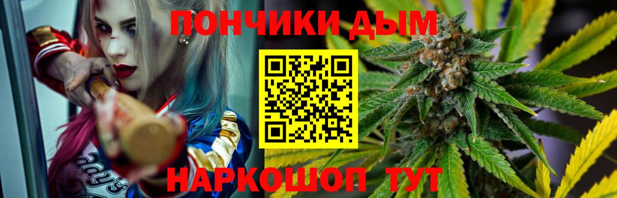 Бошки марихуана сатива  Каннабис Bruce Banner  Буйнакск  Вход с VPN 